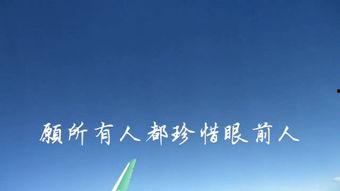 非常缘分 第3张 非常缘分 第3张