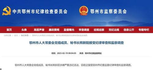 新阳 2022,展望未来，共筑辉煌  第2张