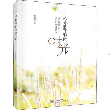 时光来了,穿越时空的奇幻之旅  第3张