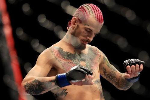 死无止境：阿根廷贵妇命案,揭秘阿根廷贵妇命案背后的惊悚真相  第2张