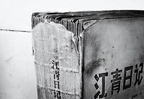 乌有日记,探寻历史尘埃中的真实与情感