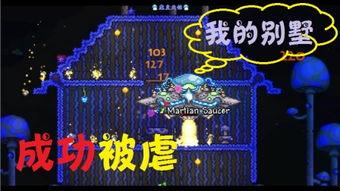 星之来客,探寻未知宇宙的神秘访客  第2张