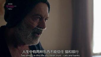 废柴舅舅  第3张