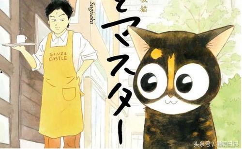 超红同人作家猫屋敷想被认同而闹别扭