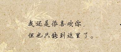 分手后，我成了他兄弟的白月光,我成了他兄弟的白月光  第1张