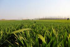 麦百万,揭秘财富传奇背后的商业智慧  第1张