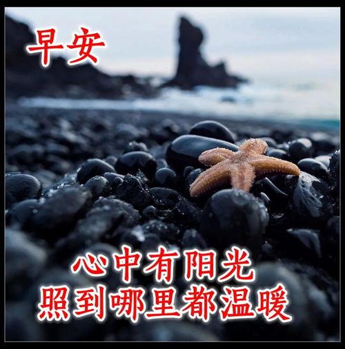 有时我会思索死亡,生命意义的哲学探索  第3张