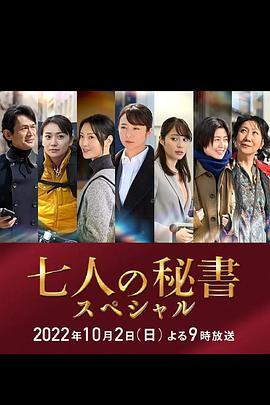 七个秘书 特别篇,揭秘职场风云与情感纠葛  第1张